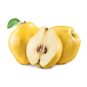 سفرجل وزن